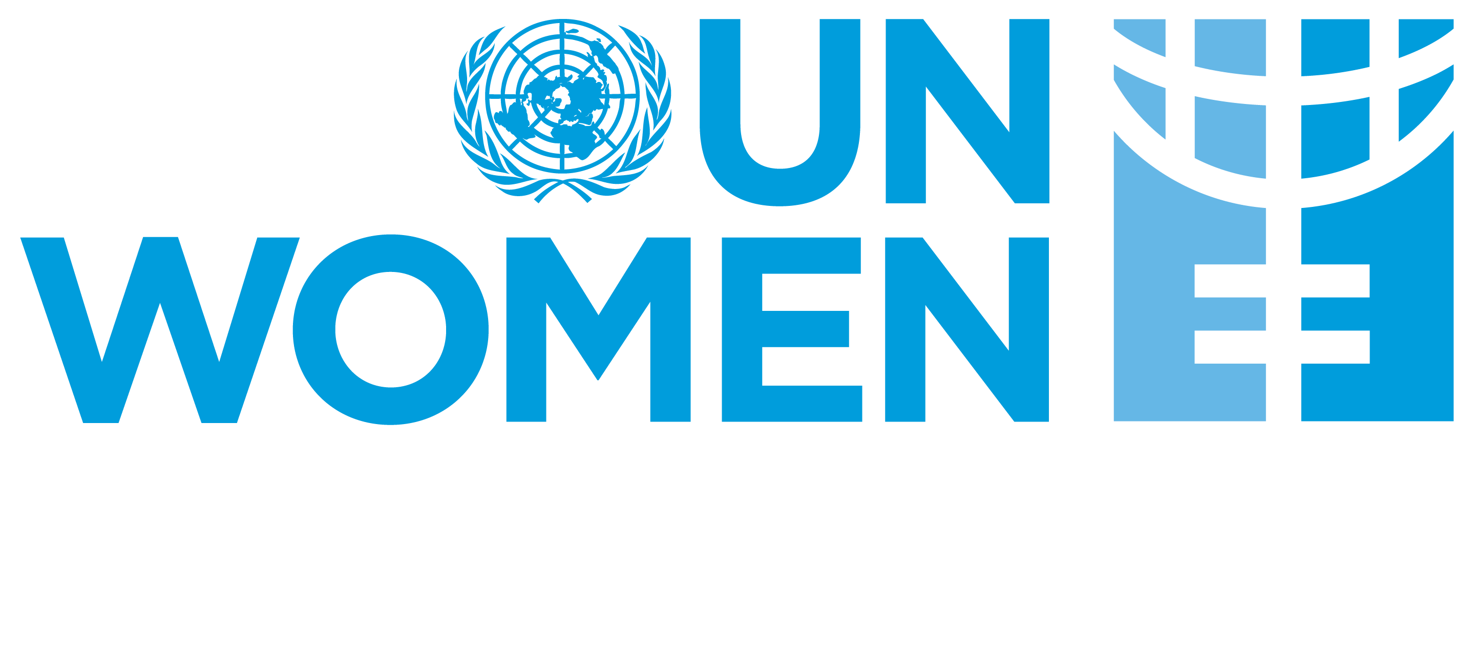 UN Women launches first-ever database mapping gender provisions in  constitutions worldwide © UN - Women Political Leaders